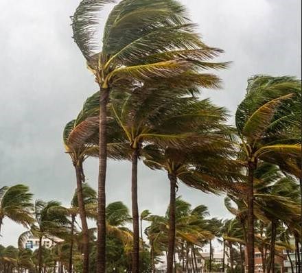 High wind roof damage in West Palm Beach