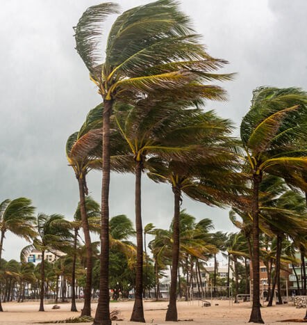 roof repair for tropical storms in west palm beach