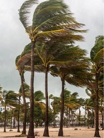 Strong storm winds in Florida