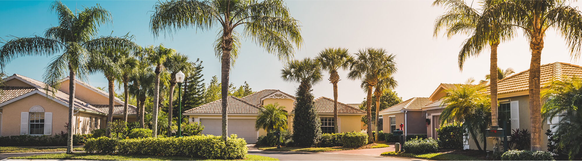 roofing services offered in wellington